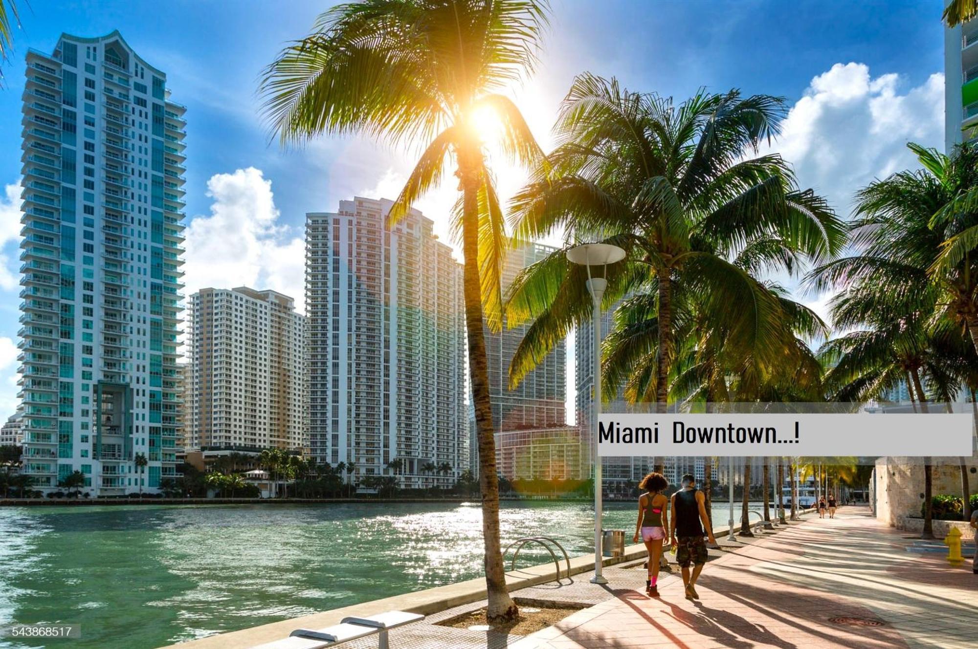 Experience The Perfect Miami Life!! Centrally Located Luxury Condo! Dış mekan fotoğraf